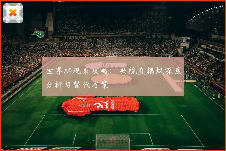 世界杯观看攻略：央视直播权深度分析与替代方案
