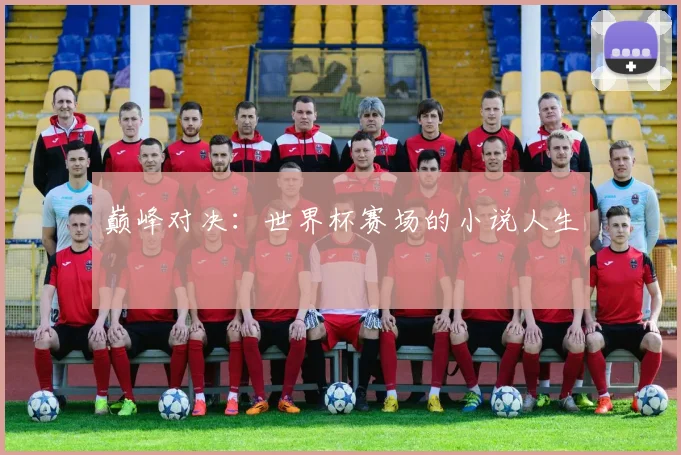 巅峰对决：世界杯赛场的小说人生