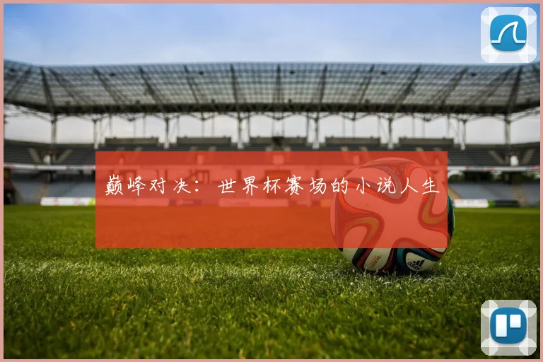 巅峰对决：世界杯赛场的小说人生