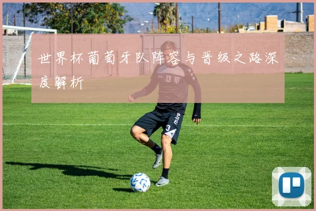 世界杯葡萄牙队阵容与晋级之路深度解析