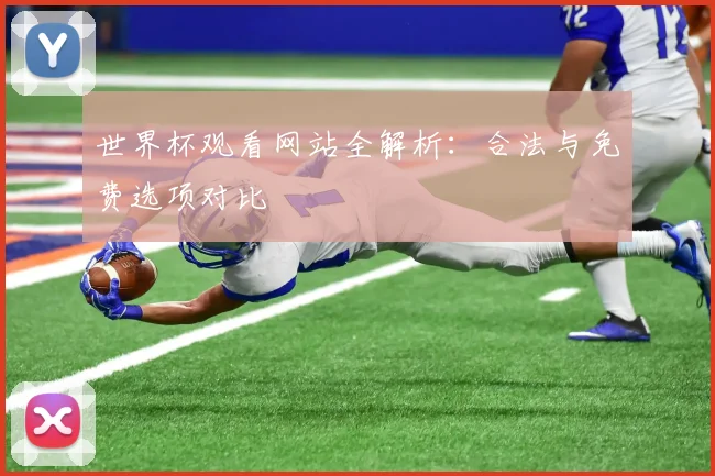 世界杯观看网站全解析:合法与免费选项对比