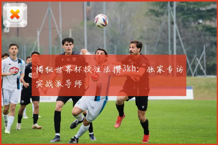 揭秘世界杯投注法攒3kh：独家专访实战派导师