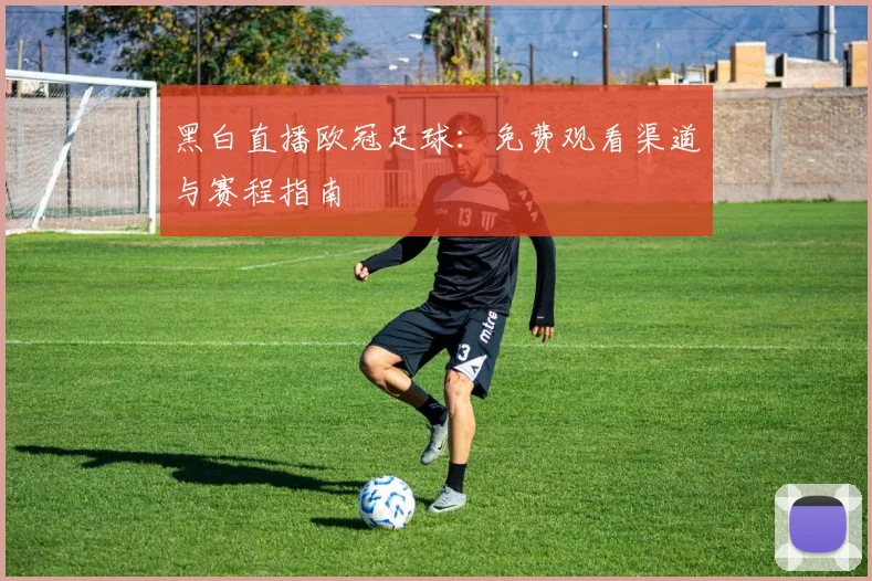 黑白直播欧冠足球：免费观看渠道与赛程指南