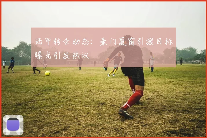 西甲转会动态：豪门夏窗引援目标曝光引发热议