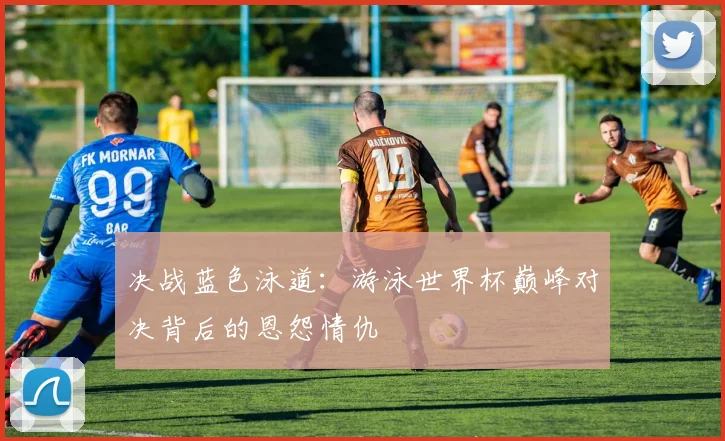 决战蓝色泳道：游泳世界杯巅峰对决背后的恩怨情仇