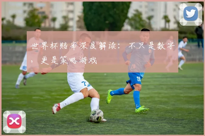 世界杯赔率深度解读：不只是数字，更是策略游戏