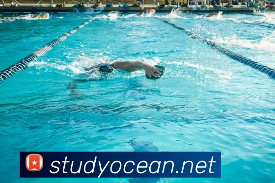 完美体育在线登录入口发展历程